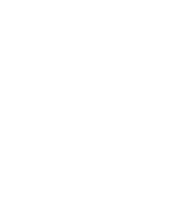 SounDisruptr